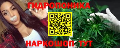 jwh Ачхой-Мартан