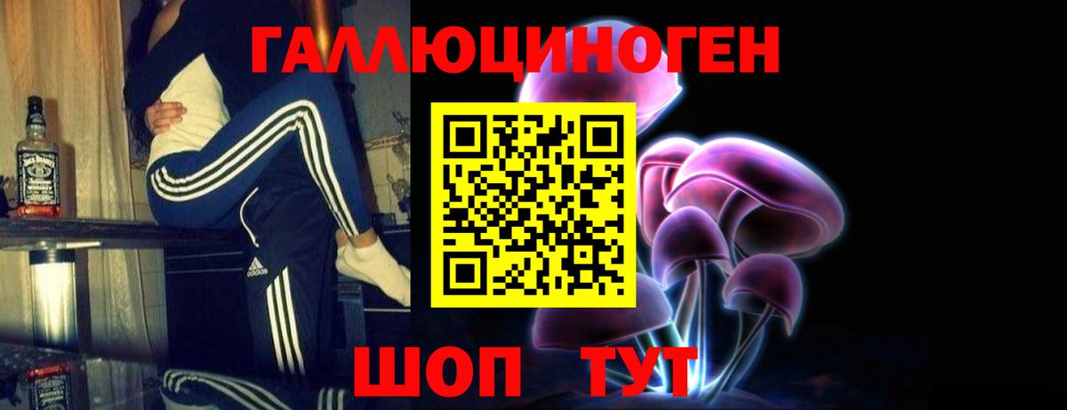 Галлюциногенные грибы прущие грибы Малгобек